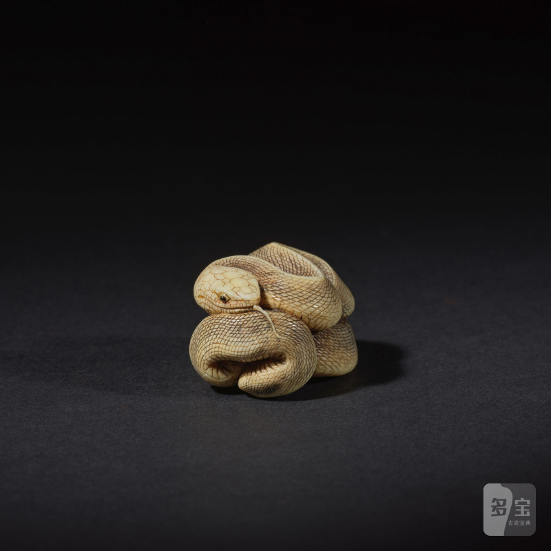 象牙彫根付 蛇 銘「忠義」 19世紀後期/20世紀前期 | NETSUKE EN IVOIRE REPRÉSENTANT UN SERPENT